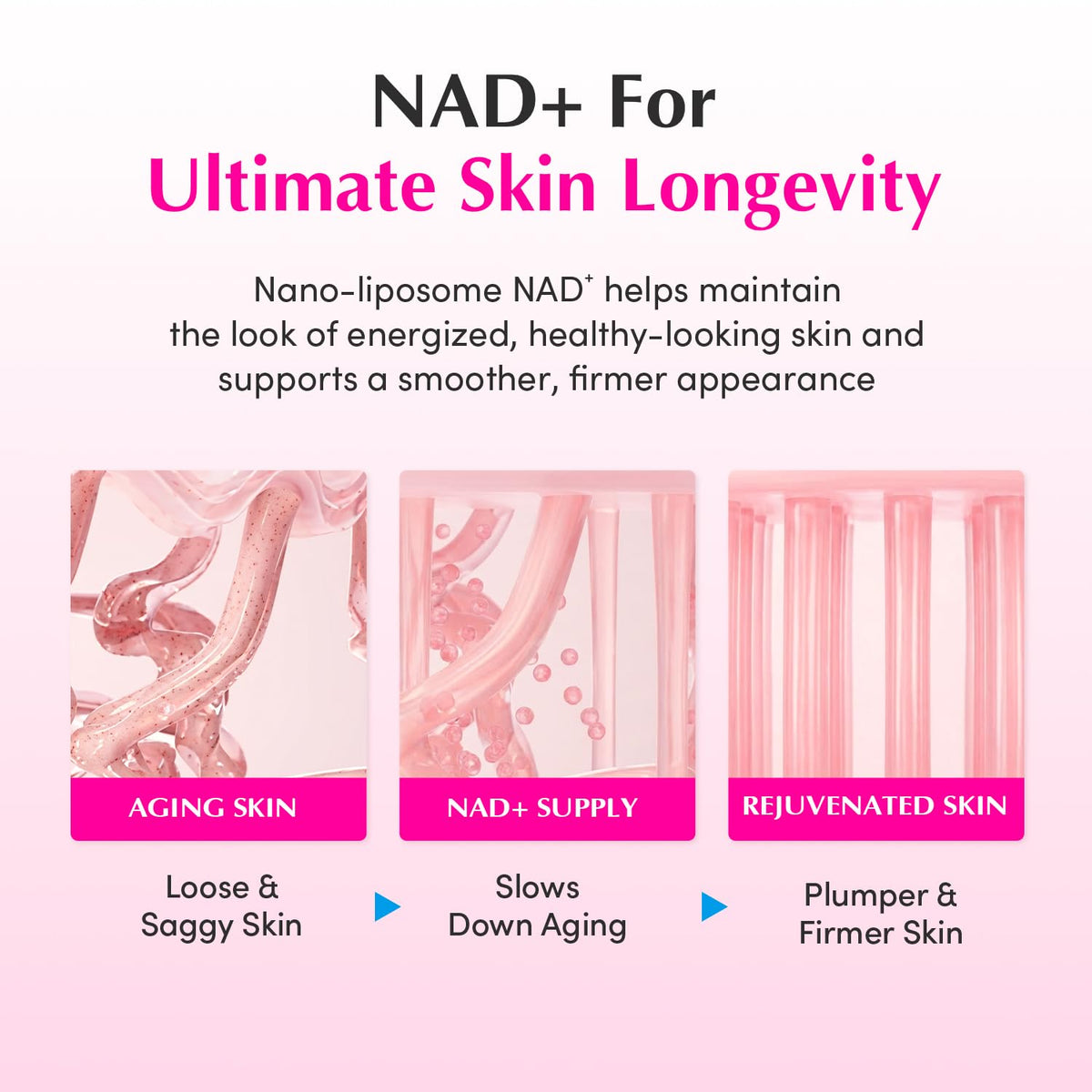 EQQUALBERRY Lush Blush NAD+ Peptide Boosting Cream