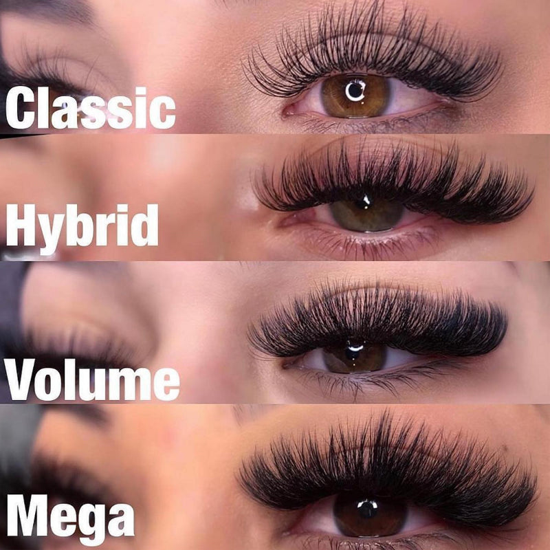 AMR Lash Extensions – Volume, Precision & Longevity (8 mm to 15 mm)