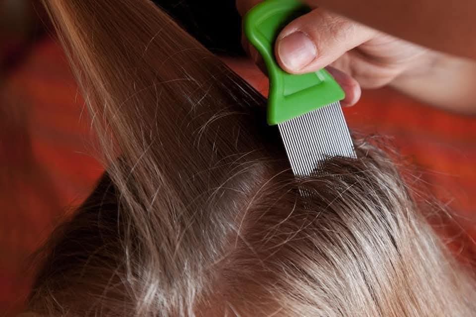 Terminator Anti-Lice & Nit Comb