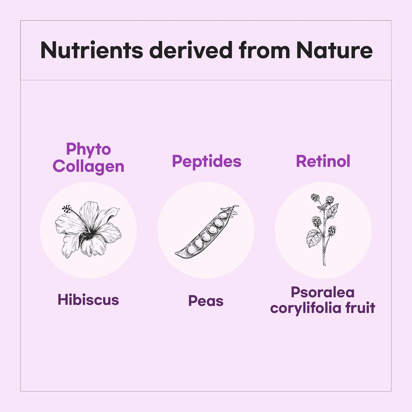 LUVUM Phyto Collagen Cream – Firm, Nourish & Glow