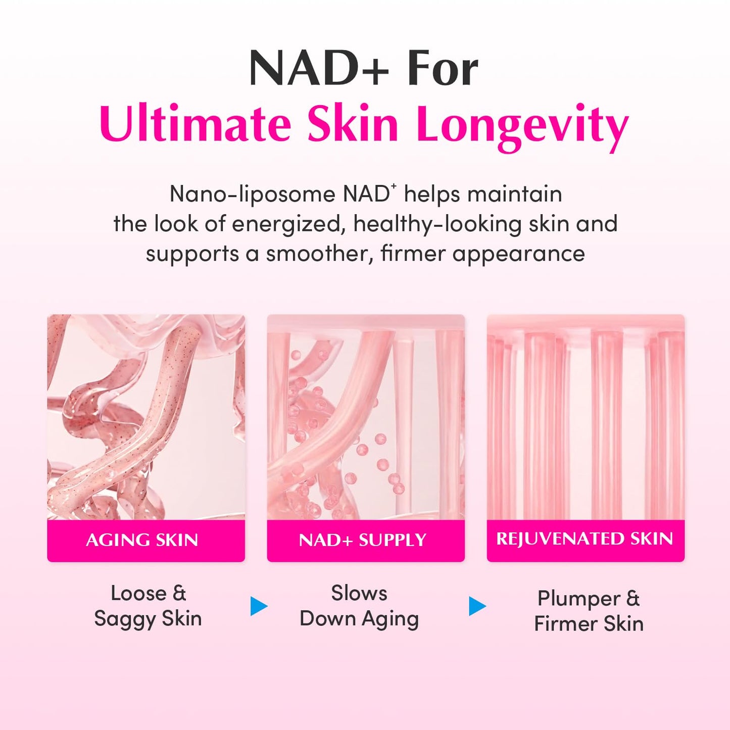 EQQUALBERRY Lush Blush NAD+ Peptide Boosting Cream