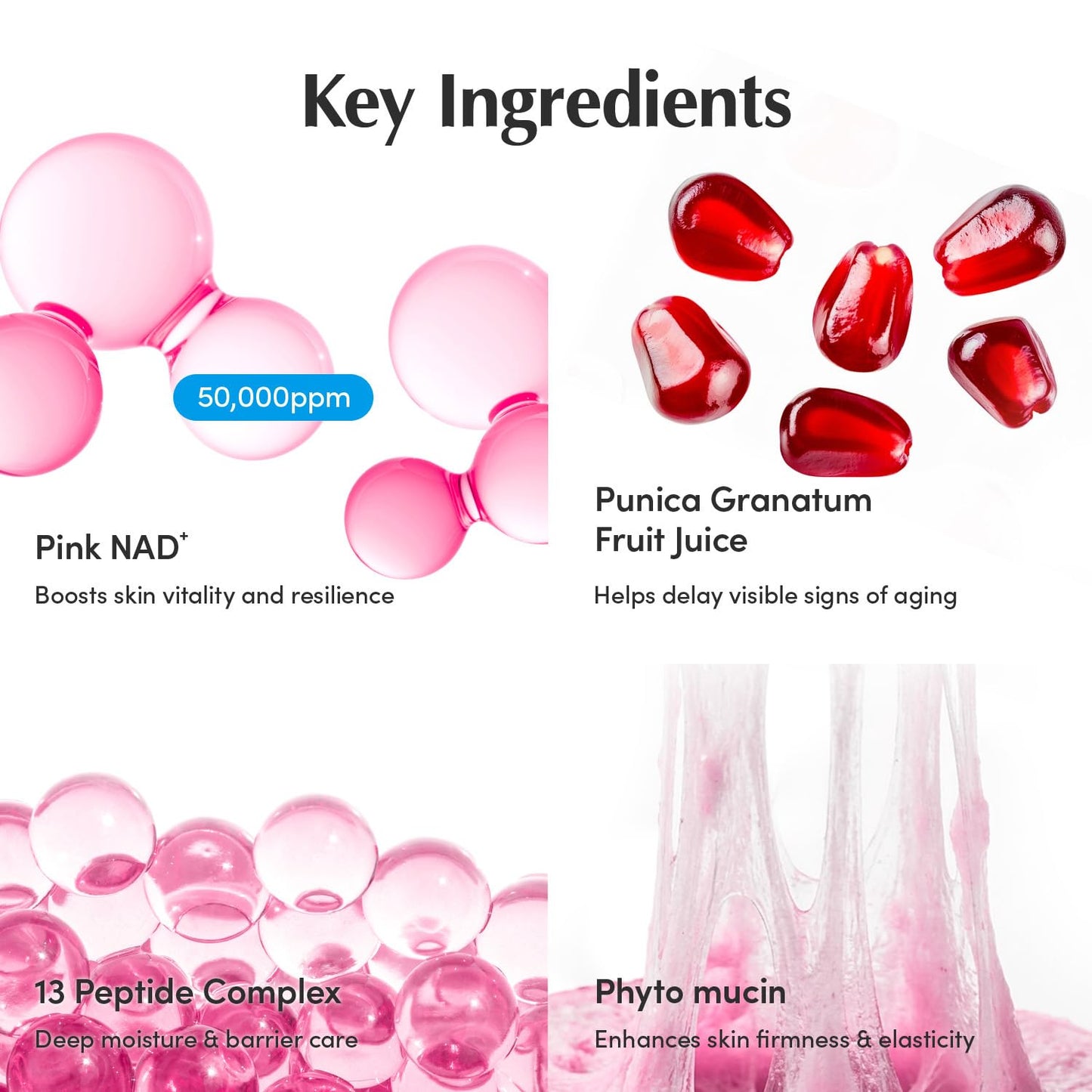 EQQUALBERRY Lush Blush NAD+ Peptide Boosting Cream