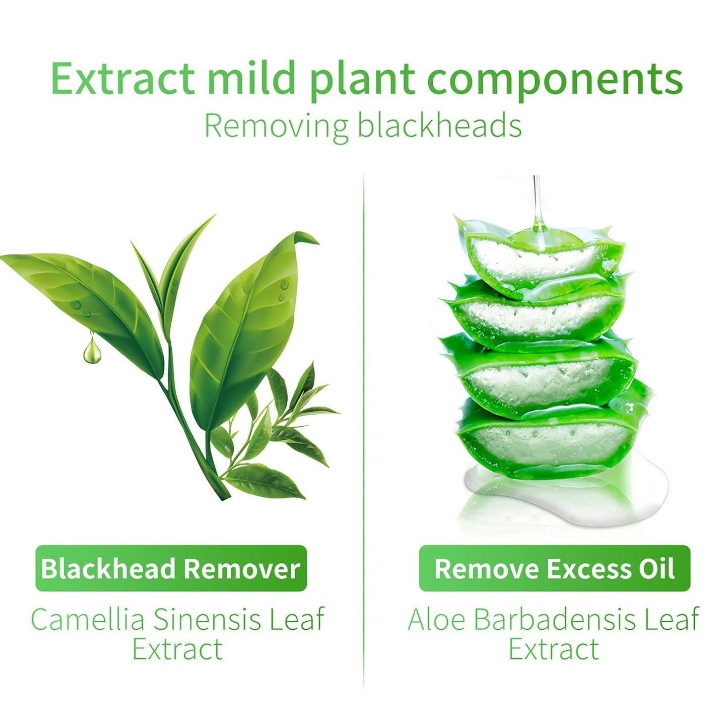 LANBENA Blackhead Remover Mask – 2 in 1 Green Tea Oil (100 pcs)
