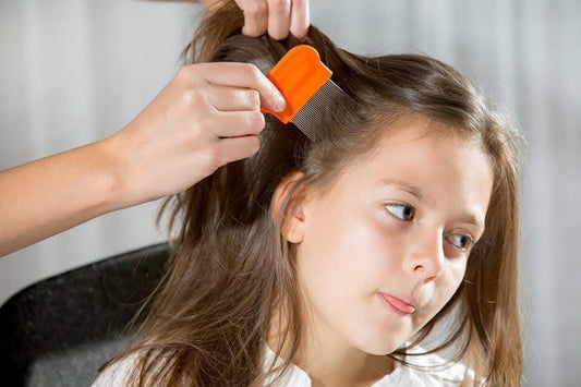 Terminator Anti-Lice & Nit Comb