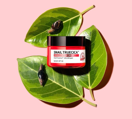 Some By Mi Snail Truecica Miracle Repair Starter Kit
