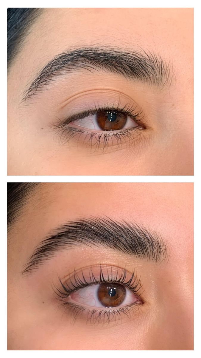 TL&G. For Ever Eyebrow Shaper